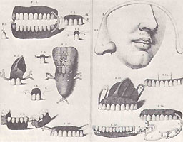 Teeth1